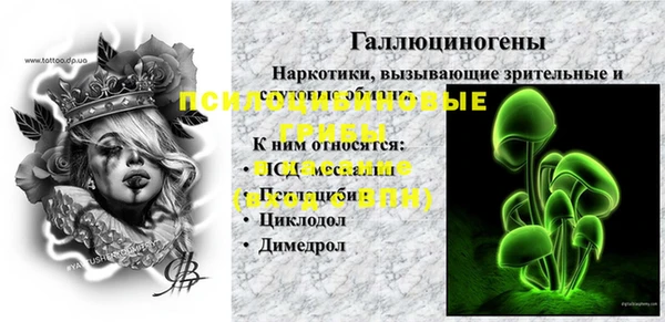 индика Баксан