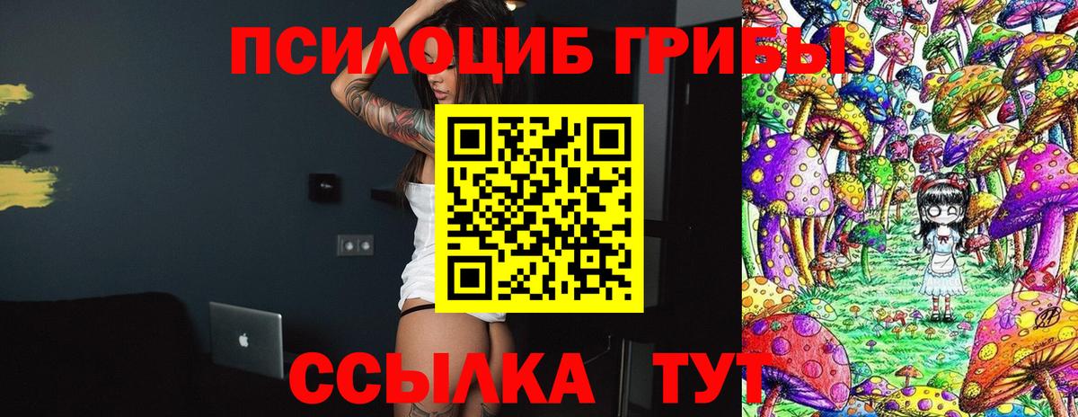 Кемерово  Галлюциногенные грибы прущие грибы  Вход с VPN 